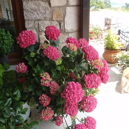 Antigoni Hotel