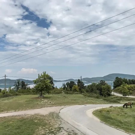 Antigoni Neochori (Karditsa)