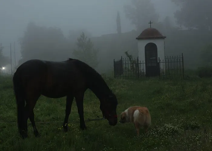 Отель Antigoni 2*